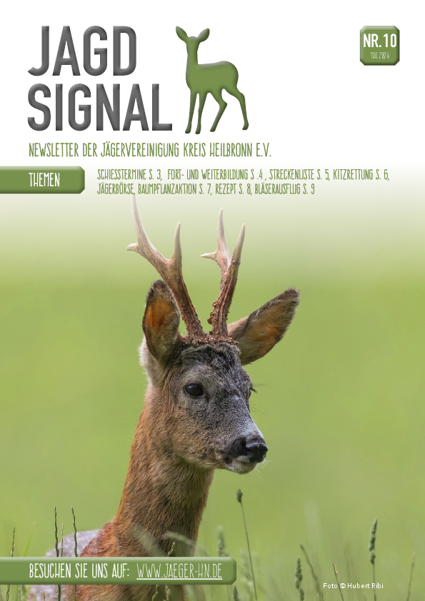 pdf-preview