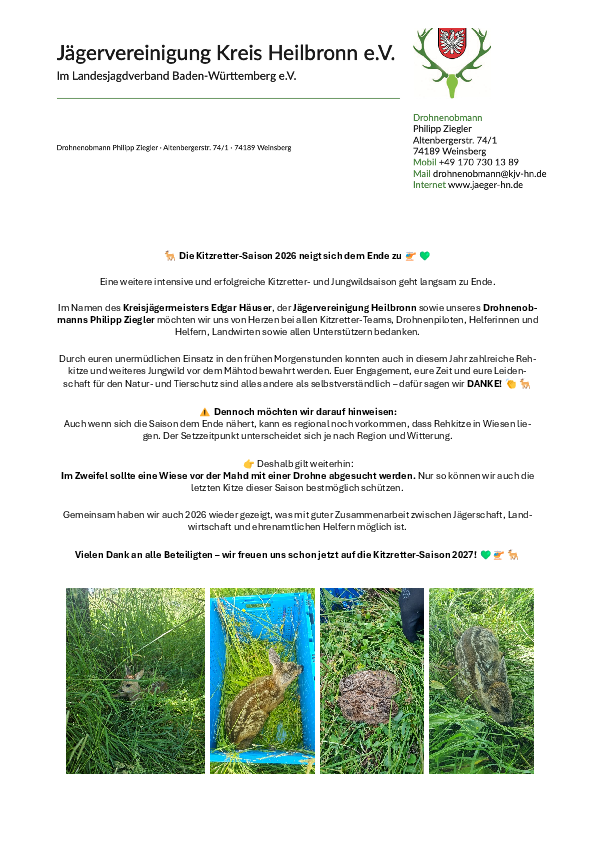 pdf-preview