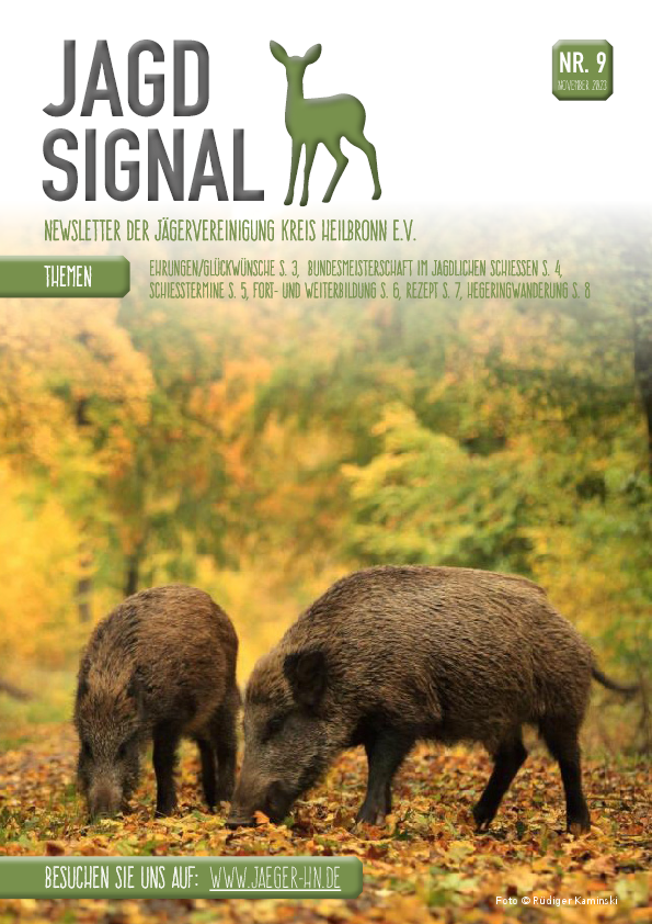pdf-preview